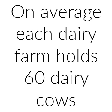 Dairy Suppliers - Farmer Facts